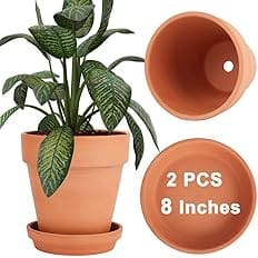 vensovo 8 Inch Clay Pot for Plant with Saucer - 2 Pack Large Terra Cotta Plant Pot with Drainage Hole, Clay Planters Pot, Ter