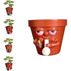 MagicXflow Funny Pot Planter For Succulents Houseplants, Personalized Pot, Creative Flowerpot Holding Pipe and Lighter, Succu
