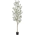 Bellacat Faux Olive Tree 6ft，Olive Trees Artificial Indoor with Natural Wood Trunk and Realistic Leaves and Fruits. 6 Feet(72