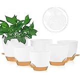 mossFlos Plant Pots, 6pcs 8/7/6.5/6/5.5/5 Inch Self Watering Planters with Drainage Holes and Deep Reservior for Indoor Outdo