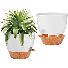 GARDIFE 10 inch Plant Pots,Self Watering Pots, 2 Pack Flower pots, Large Plastic Planters with Deep Reservior and High Draina