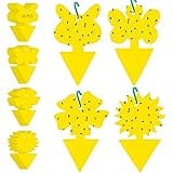 60Pack Fruit Fly Traps Fungus Gnat Traps Yellow Sticky Bug Traps for Indoor Outdoor Plants, Pest Insect Catcher Killer for Wh
