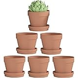 Fcacti 6 Inch Clay Pot for Plant with Saucer - 6 Pack Large Terra Cotta Plant Pot with Drainage Hole, Flower Pot with Tray, T
