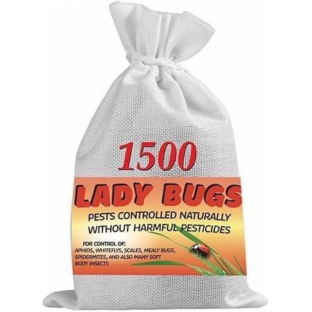 Bazos 1500 Live Ladybugs - Bugs for Garden - Ladybugs - Guaranteed Live Delivery, Black (LB-00)