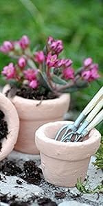pots