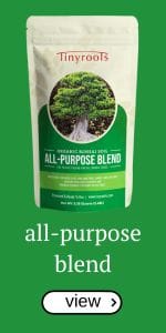 all-purpose bonsai soil suelo de bonsái