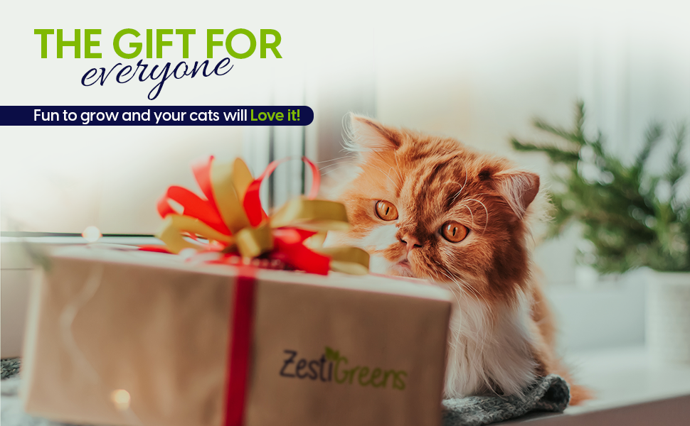 Gifts for Cat Lovers