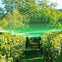 bird netting