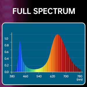 full spectrum