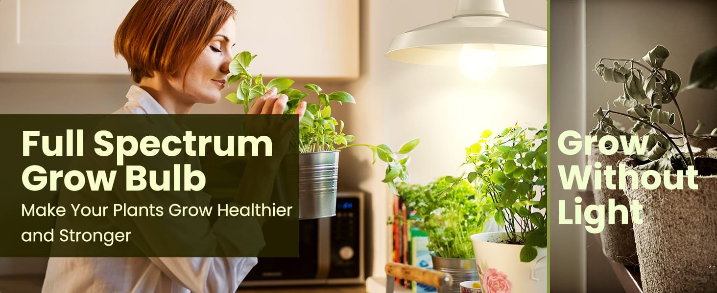 grow bulbs for indoor plants