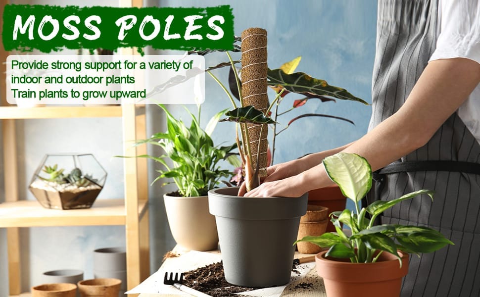 plant moss poles