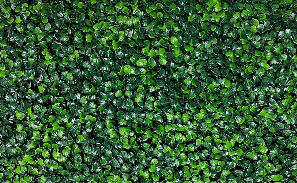 GRASS WALL
