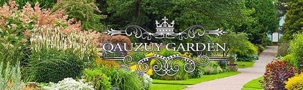 Plants. Shrubs and herbs, as well as beautiful  plants.  It with the brand of  "QAUZUY  GARDEN"