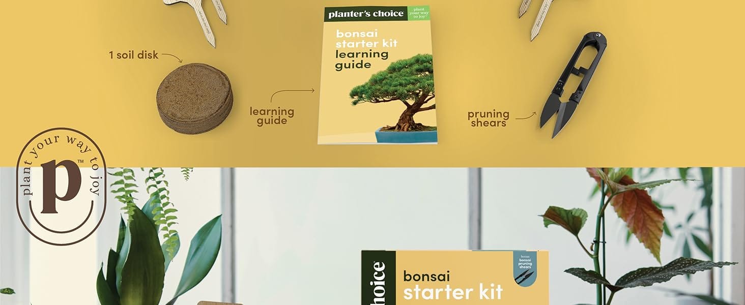A complete kit with everything you need to plant bonsai 15 piece kit
