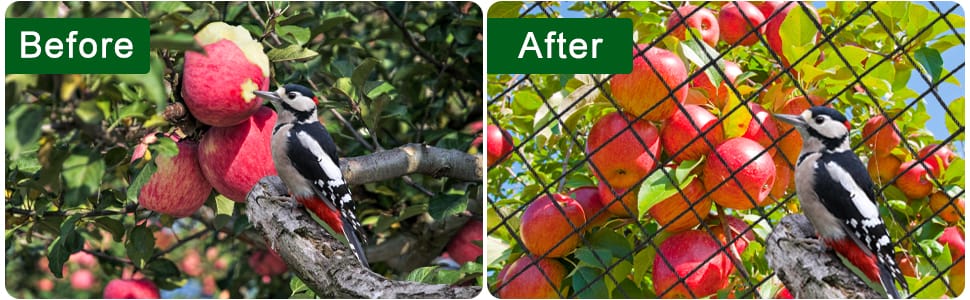 Netting for Fruit Tree
