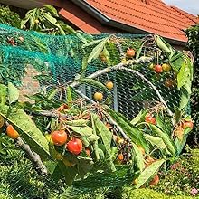 bird netting