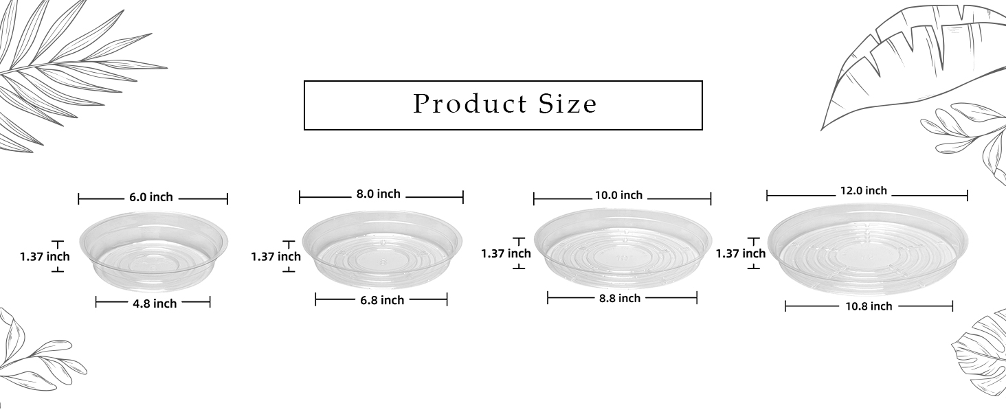 clear saucers