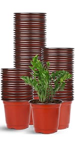 Plant pot