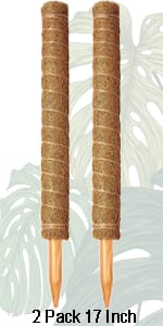 Moss Poles for Climbing Plants