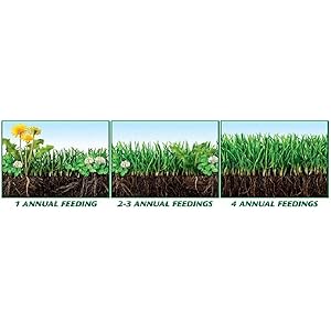 Scotts Spreader, Broadcast Spreader, Fertilizer Spreader, Seed Spreader, Fertilizer, Grass Seed