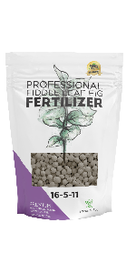 fiddle leaf fig fertilizer