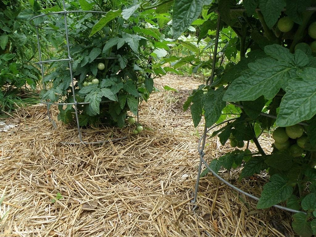 710_UAhbn8S._AC_SL1024