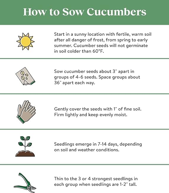 713go5fAHCL._AC_SX569