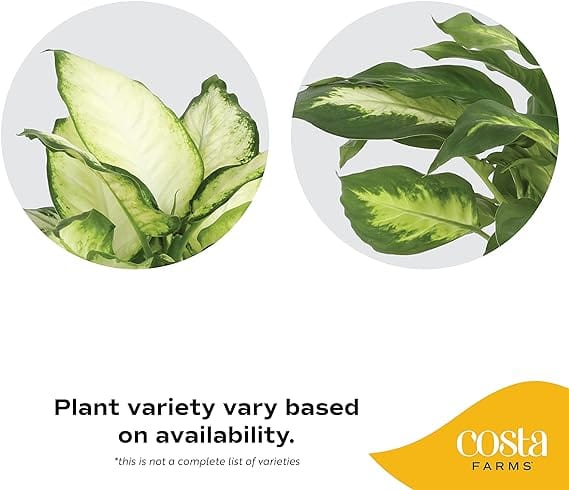 718cgrU2ZFL._AC_SX569