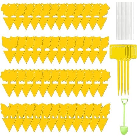 54 Pieces Sticky Fruit Fly Trap,Dual-Side Fruit Fly and Fungus Gnat Sticky Catcher Trap for Indoor Outdoor Mosquito,Flying Insect Bug Pest,White Flies YUEQINGLONG