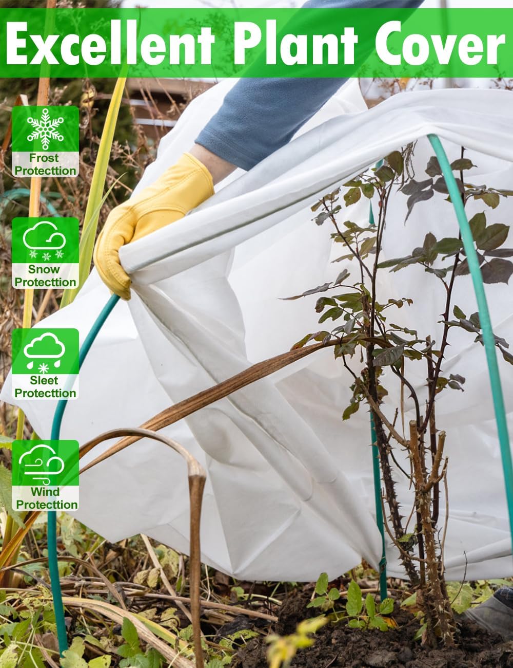 71LDPf_ukHL._AC_SL1300