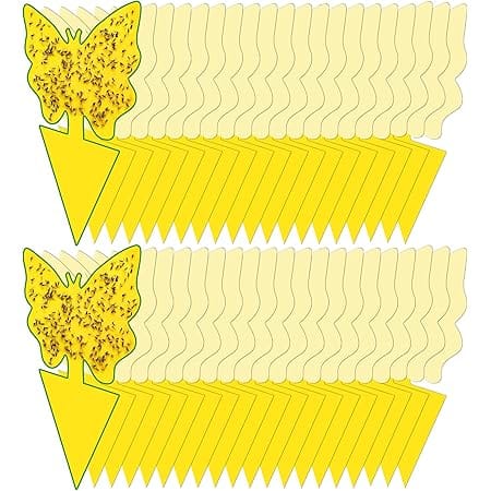 40 Pack Fungus Gnat Traps for House Indoor Yellow Sticky Traps for Gnats Sticky Traps for Plants, Dual-Sided Fungus Gnat Sticky Traps Fruit Fly Traps for Indoors