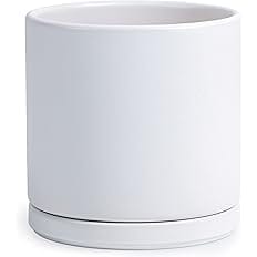 D'vine Dev 10 Inch Ceramic Planter Pot with Drainage Hole and Saucer, Indoor Cylinder Round Planter Pot, White, 94-O-L-1