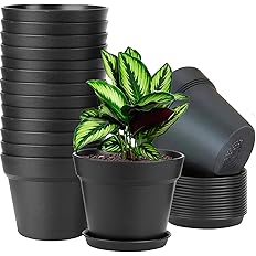 WOUSIWER 16 Pack 6 inch Plastic Planters for Indoor Flower Pots, Heavy Duty and Stylish 6 Inch Plant Pots for Indoor Plants w