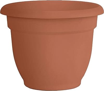 Bloem Ariana Pot Planter: 20