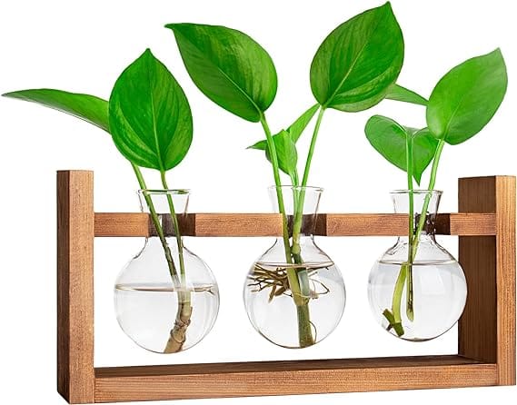 Ivolador Propagation Station With Wooden Stand & Glass Vases