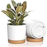 FIASON 8 inch Plant Pots, Plastic Planter with Drainage Hole and Saucer, A Set of 2 Flower Pots for Indoor, Outdoor, House Pl