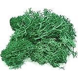 Queenbox 1.4oz/40g Artificial Moss for Indoor, Resin Fake Plants Greenery Wall Lawns Turf Carpets for Floral Panel, Home, Cra