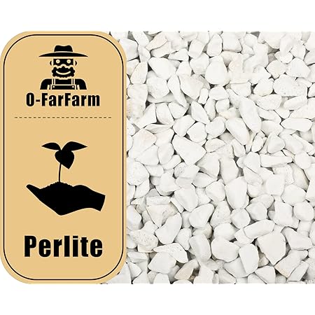 O-FarFarm Chunky Perlite Bulk 5Qt, Horticultural Pearlite Coarse Perlite for Plants Indoor, Additive Conditioner Mix, Improve Drainage and Ventilation, Help Root Growth (5-10mm)