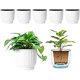 T4U 6 Inch Self Watering Pots for Indoor Plants, 6 Pack White Plastic Flower Pots for All House Plants, Flowers, African Viol