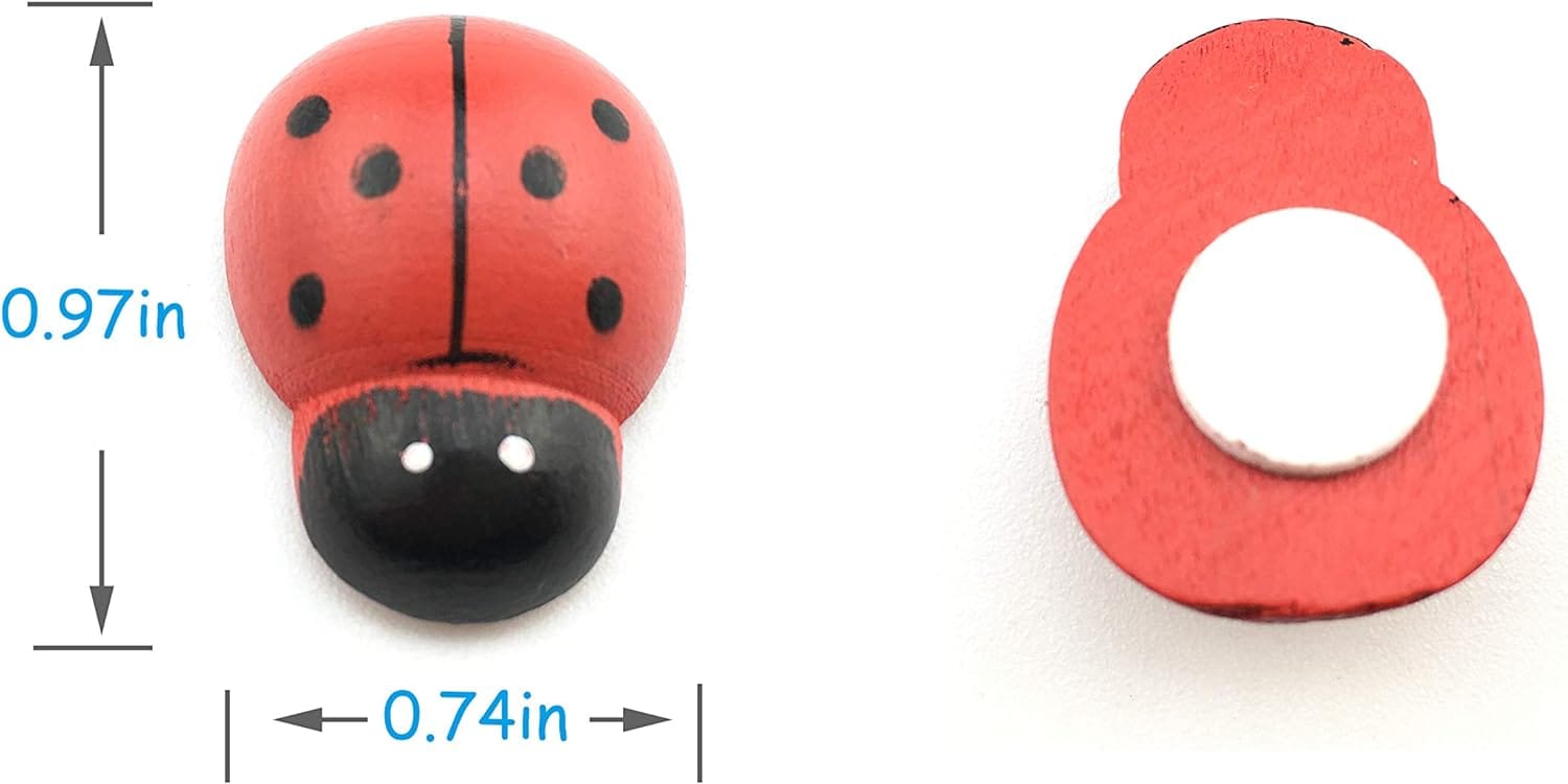 71ijutJl73L._AC_SL1500