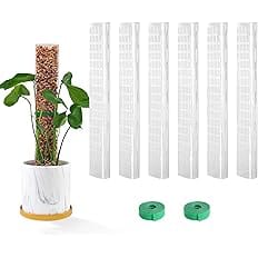 Bluepro 6 Pcs 15 Inch Plastic Moss Pole for Plants Monstera, 6×15'' Plant Poles for Climbing Plants, Plant Support for Indoor