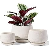 LE TAUCI Plant Pots, 4.1+5.1+6.5 inch, Set of 3, Ceramic Planters with Drainage Hole and Saucer, Indoor Flower Pot with Hole