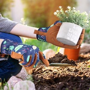 Work Gloves Medium