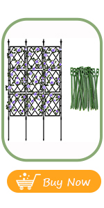 Garden Trellis