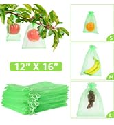 fruit protection bags