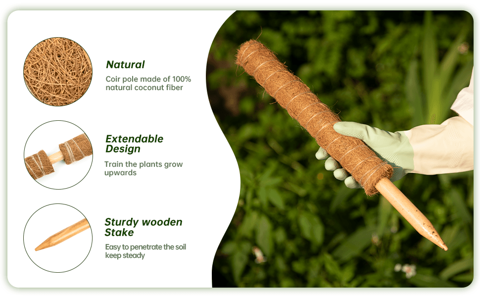 moss pole