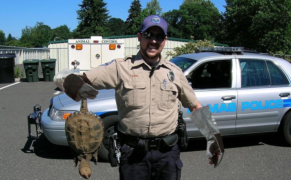 RAPICCA Animal Handling Gloves