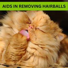 Natural Hairball Remover