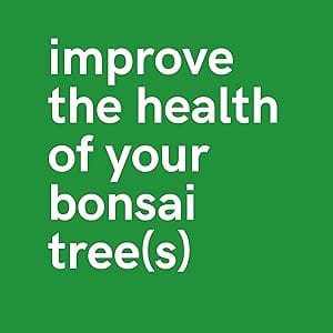 healthy bonsai tree soil mix