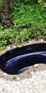 Fish Pond